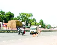 हाइवे पर मुसीबत बने आवारा पशु, हादसों का अंदेशा