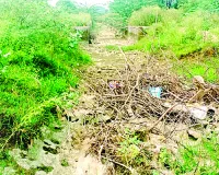 बूढ़ी नहरों की सूध ले तो बचे लाखों लीटर अमृत 