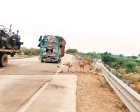 यात्रियों की जान से खिलवाड़ कर रहा एनएचएआई