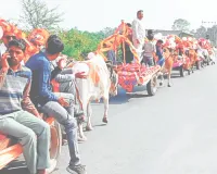 अनोखी बारात में शामिल हुए 150 बाराती, बैलगाड़ी में बारात लेकर दुल्हन के घर पहुंचा दूल्हा