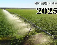 राजस्थान बजट 2025 : किसान सम्मान निधि की राशि में वृद्धि, किसानों को 25 हजार करोड़ रुपए के कृषि ऋण की घोषणा; तारबन्दी के लिए मिलेगा अनुदान