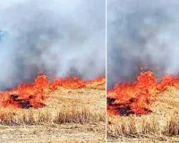 अब पराली बनी सियासत वाली