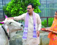 भजनलाल शर्मा ने गोपाष्टमी पर की गौ माता की पूजा, प्रदेश की सुख-समृद्धि की कामना