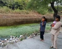 कोटा उत्तर वार्ड 44 - टूटी सड़कें, जर्जर नहर से परेशान रहवासी, नहर में मगरमच्छ का खतरा 