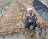 असर खबर का - किसानों की उपज की सुरक्षा के लिए तत्काल कदम उठाए, लोकसभा अध्यक्ष बिरला ने कोटा-बून्दी के जिला कलक्टरों को दिए निर्देश