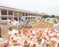 जयपुर मंडी में मूंगफली की बंपर आवक : पिछले साल से बेहतर दाना, लेकिन बारिश ने डाली खलल