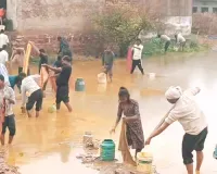 मुफ्त का चंदन घिस मेरे नंदन : खेत में पलटा सरसों के तेल से भरा टैंकर, मची लूटने की होड़