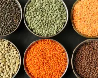 घरेलू थोक बाजार में चावल और दालों के दाम बढ़े : गेहूं और चीनी स्थिर, सरसों और सोया तेल में भी दिखी तेजी