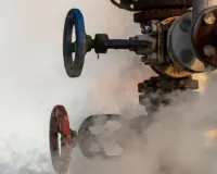 जहरीली गैस रिसाव का रहस्य बरकरार : 3 दिन बाद भी नहीं हुआ खुलासा, प्रशासन के कयास जांच में खरे नहीं उतरे