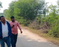 असर खबर का - भण्डेडा फीडर की 11 केवी लाइन के जल्द बदले जाएंगे पोल व तार 