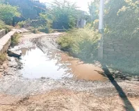 कीचड़ से श्रीरामनगर कॉलोनी का मुख्य मार्ग बना दलदल, दो पहिया वाहन चालक फिसल कर हो रहे चोटिल 