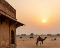 Weather Update : उत्तरी हवाओं का कुछ दिन और रहेगा असर, राज्य के कई जिलों में सर्दी बरकरार 