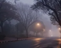 Weather Update : उत्तर भारत से चली बर्फीली हवाओं ने बढ़ाई प्रदेश में सर्दी, दिन और रात के तापमान में गिरावट 