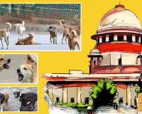 बस अड्डों और रेलवे स्टेशनों से हटाएं आवारा कुत्ते : सुप्रीम कोर्ट ने दिया आदेश, कहा- शेल्टर होम में रखे