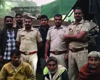 वन विभाग की कार्रवाई : अवैध खनन के चलते 10 वाहन जब्त, पेड़ों की कटाई कर के कर रहे थे अवैध रूप से परिवहन 