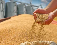 गिव अप अभियान : 48 लाख अपात्रों ने छोड़ी खाद्य सुरक्षा, 70 लाख से अधिक वंचितों को मिला अब तक लाभ