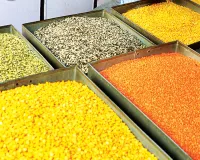 गेहूं, चीनी में साप्ताहिक गिरावट : दालें मजबूत, खाद्य तेलों में घट-बढ़, जानें क्या है भाव  