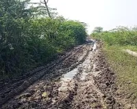 सात साल से नहीं बना ढगारिया नहर मार्ग, फसल तैयार, खेतों से निकालना मुश्किल, किसानों की बढ़ी परेशानी