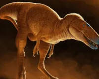 सहनस्त्रा नदी से मिला डायनासोर का जीवाश्म : डायनासोर के सींग और आंशिक पंख मौजूद, इसका मिलना बहुत महत्वपूर्ण