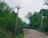 विद्युत विभाग की अनदेखी से खतरे की स्थिति, भण्डेड़ा फीडर की 11 केवी लाइन पर नहीं हुआ रखरखाव 