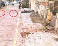 कोटा दक्षिण वार्ड 66 - सीवरेज के ऊंचे चैंबर दे रहे पीड़ा,आवागमन में दिक्कत, नालियों का ढकान बना परेशानी, पार्को में लगे कचरे के ढेर