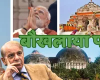 आखिर क्यों पाकिस्तान ने भारत में रहने वाले मुस्लिमों को लेकर यूएन में लगाई मदद की गुहार? जानें क्या हैं पूरा मामला