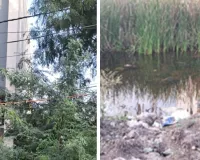 कोटा दक्षिण वार्ड 19 : खाली प्लॉट, झूलते विद्युत तार,पार्कों में लगे झूले क्षतिग्रस्त , सीवरेज चैंबर बने परेशानी