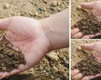 माटी बचेगी तभी तो मानव बचेगा