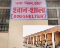 असर खबर का -  74 कैनाल वाली श्वानशाला को बनाया डॉग शेल्टर हाउस,अस्पताल,शिक्षण संस्थानों व सरकारी कार्यालयों से लावारिस श्वानों को लाकर रखेंगे
