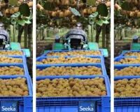 भारत ने न्यूजीलैंड से मिलाया हाथ, अब कोटा में सस्ती होगी कीवी