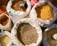 गेहूं, चीनी मजबूत; दालों खाद्य तेलों में घट-बढ़, जानें क्या है भाव  