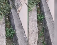 कोटा दक्षिण वार्ड 6 - नाले का ढकान, गंदगी और खाली मकान बने परेशानी, कचरा गाड़ी का समय नहीं निर्धारित 