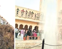 आमेर महल और लेपर्ड सफारी में देशी-विदेशी पर्यटकों की चहल-पहल, गुलाबी नगरी की बढ़ी रौनक