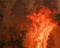 ऑस्ट्रेलिया के जंगल में आग : कई घर जलकर खाक, लोगों से एक मजबूत संरचना में शरण लेने का आग्रह