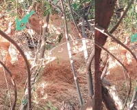 वन्यजीव सुरक्षा पर फिर उठा सवाल : शिकारियों के लगाए तार के फंदे में फंसा पैंथर, वन विभाग की सतर्कता से बची जान ; एक माह के अंदर क्षेत्र में दूसरी घटना 