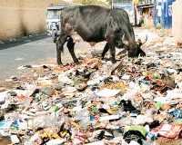 मुख्य मार्गों पर गंदगी,  बरसों बाद भी कचरा पाइंट मुक्त नहीं हो रहा शहर