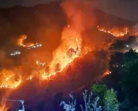 उत्तराखंड में आग गंभीर चिंता का विषय : सर्दियों में भी जंगलों में धधकी आग, पेड़-पौधों के साथ जीव-जन्तुओं के भी झुलसने की आशंका