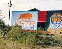 रामगढ़ से पिछड़ा मुकुंदरा, 1 जिप्सी के भरोसे जंगल सफारी, 100 किमी चक्कर काटकर भी निराश लौट रहे पर्यटक 