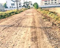 मुकुंदरा विहार में पौधे से ट्री गार्ड गायब व दुर्दशा के शिकार