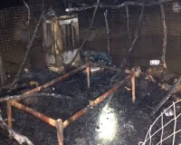 कच्चे घर में आग लगने से दो नाबालिग बहनें जिंदा जलीं : शॉर्ट सर्किट से आग की आशंका, 15 बकरियां भी जलकर मरीं