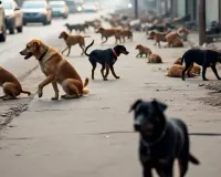 दिल्ली शिक्षा मंत्री आशीष सूद का आरोप, बोलें-आवारा कुत्तों के नाम पर झूठ फैला रही आम आदमी पार्टी, जानें पूरा मामला