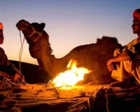 Weather Update : शेखावाटी और मारवाड़ में सर्दी का सितम, सुबह-शाम की दिनचर्या बुरी तरह प्रभावित 