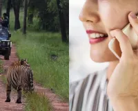 मध्य प्रदेश सरकार का बड़ा फैसला, टाइगर रिजर्व में मोबाइल फोन के उपयोग पर लगाया प्रतिबंध