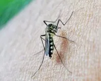 मलेरिया से लड़ने के नए तरीकों का इस्तेमाल करके दस लाख लोगों की जानें बचाई, जानें पूरा मामला  