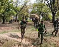 छत्तीसगढ़ के सुकमा में सुरक्षाबलों को बड़ी कामयाबी, 3 इनामी नक्सली ढेर, सर्च अभियान जारी