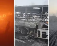 मथुरा एक्सप्रेसवे हादसा : सात बसें व तीन कारें टकराईं, चार यात्रियों की दर्दनाक मौत