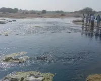 लूणी नदी में जहरीले अपशिष्ट का कहर, कोर्ट ने सरकार की लापरवाही पर जताई चिंता 