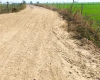 आजादी के बाद भी डडवाड़ा गांव पक्की सड़क से वंचित, बरसात में कट जाता है संपर्क