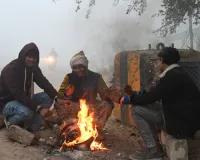 Weather Update : प्रदेश में आज भी रहा कोहरे का असर, सर्दी भी बढ़ी