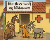बिना डॉक्टर चल रहे पशु चिकित्सालय, जानें पूरा मामला 